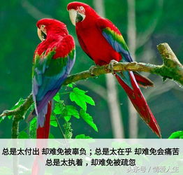  这四种人过得最累走心