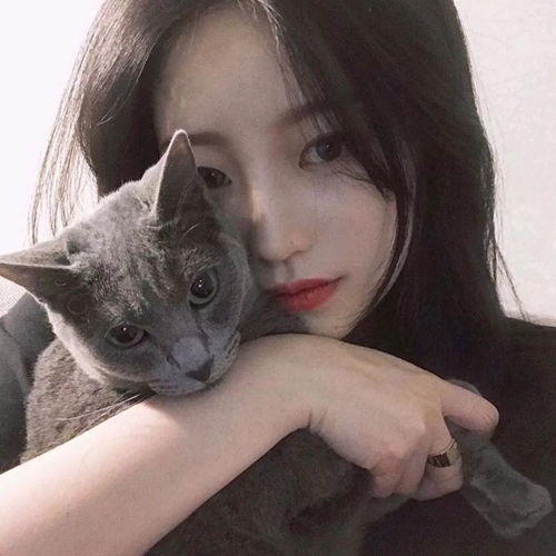头像猫咪图片情侣头像可