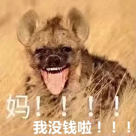  有了这套表情包,我张口要钱就从来没失败过