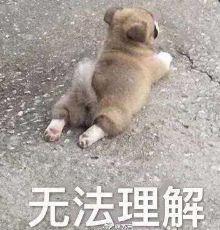  演个坏人竟然还可爱到圈粉,除了郭京飞还能有谁