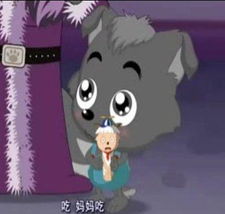  谁有小灰灰的图片贡献出来谢谢了