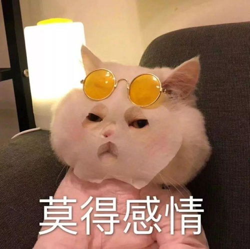  男生必备恋爱小知识
