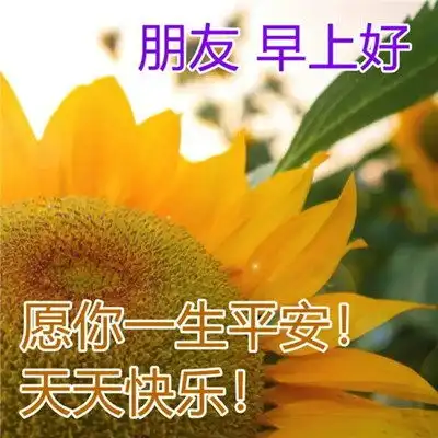  2023最新早晨好早上好漂亮问候祝福图片头像