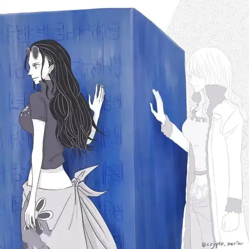  海贼王头像托付的意志