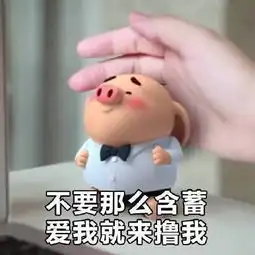 qq情侣卡通头像可爱猪小