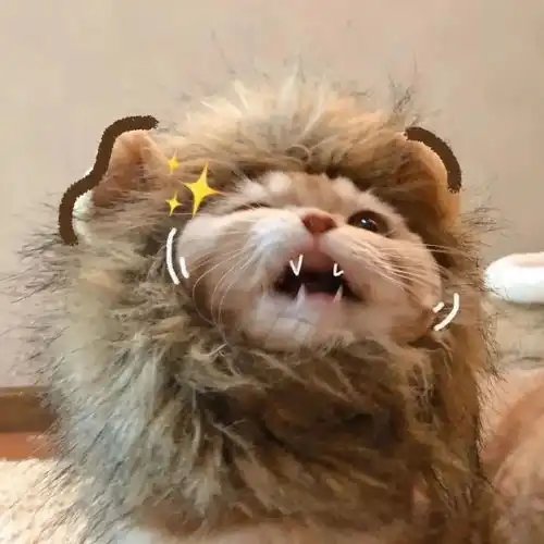  适合父亲节炫父发的文案