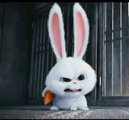  为啥看完爱宠大机密你的头像就换成了只兔子