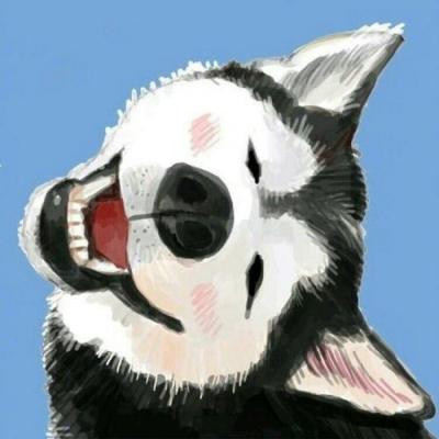  超萌可爱宠物情侣头像你喜欢的也是我喜欢的