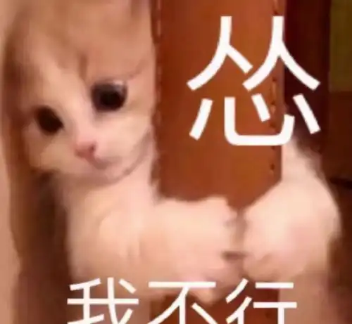  你中枪了吗大学宿舍的烦人行为,拎出哪个都让同学崩溃