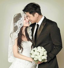  2011明星婚礼热搜榜出炉张杰谢娜位居榜首