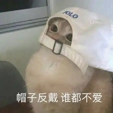  表情包帽子反戴,谁都不爱