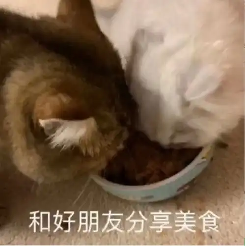  她这个抱膝蹲膝盖才到胸的腿长