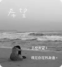  海