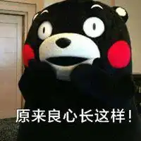  熊本熊高清情侣头像微信头像图片大全