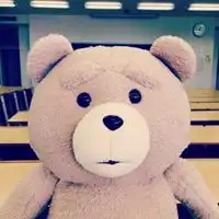  卡通黑色泰迪熊头像微信头像图片大全