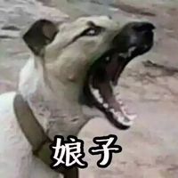  高清动漫双人情侣头像