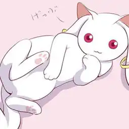  盘点一些动漫萌宠