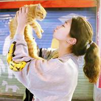  抱猫咪的情侣头像大全微信头像图片大全