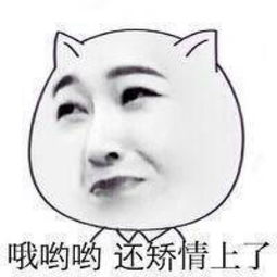  表情图猥琐猫人脸