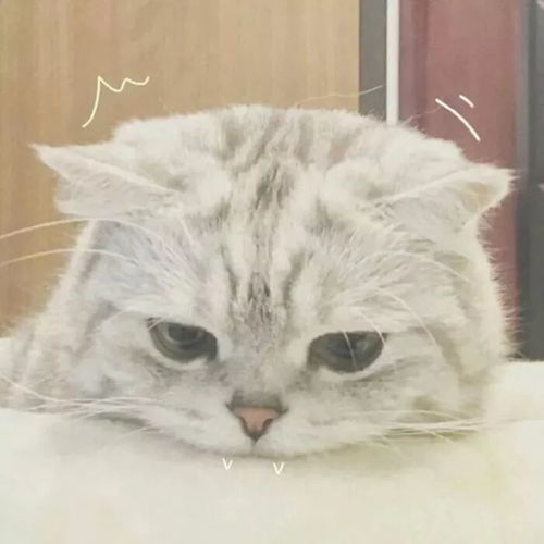  关于情侣头像