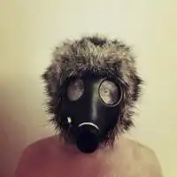  微信头像图片史迪奇