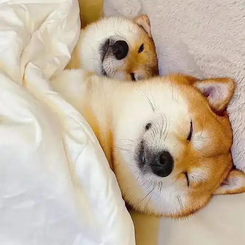  变美变瘦来日方长