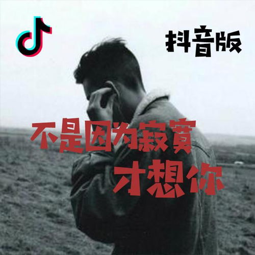  不是因为寂寞才想你dj抖音热歌高音质在线试听不是因为寂寞才想你歌词歌曲下载酷狗音乐