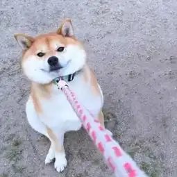  你们要的情侣头像来了