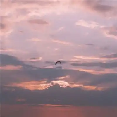  金鸡娱乐链接