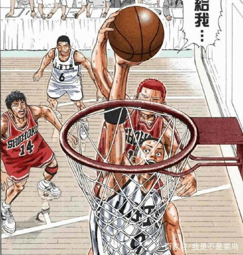  灌篮高手中为何这套阵容最强因为他们攻守兼备