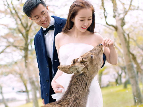  关西纯玩5天半自助旅拍游情侣蜜月闺蜜出游吃喝玩乐2人即可成行送旅拍当地参团