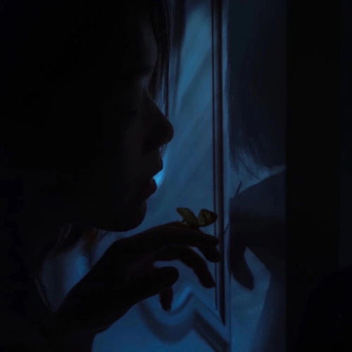  小众又高级的句子