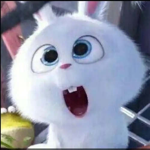  米白鸭的个人空间acfun弹幕视频网认真你就输啦ω