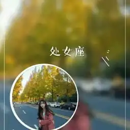 情侣头像文案星座