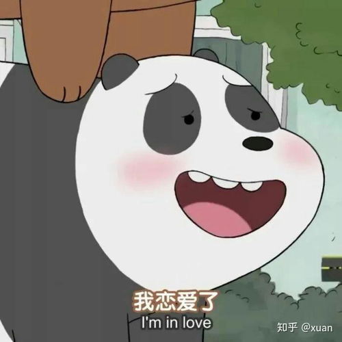 布布熊情侣头像卡通