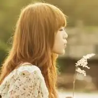 阳光意境图片 阳光意境图片