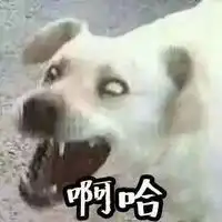  世界独一无二情侣头像微信头像图片大全