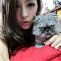  两个人抱猫的情侣头像微信头像图片大全