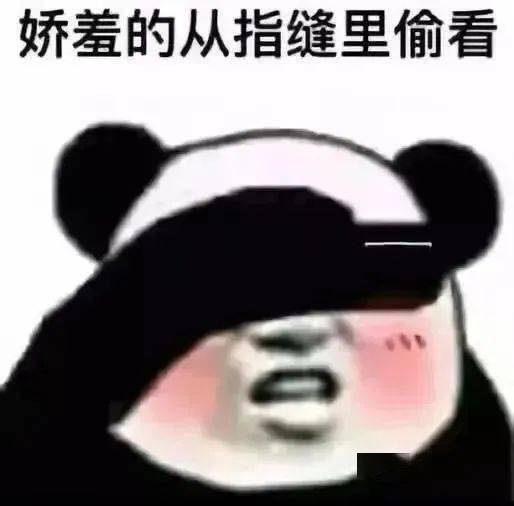  熊猫头表情包i真把自己当人了