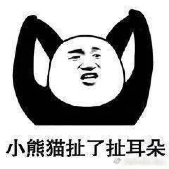 暴走熊猫表情包头像小熊