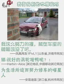  男子心情不好随手砸车以为砸的是众泰结果是保时捷