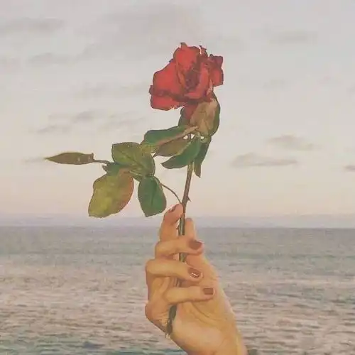  会计专业硕士就业前景深度分析