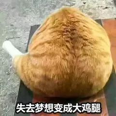 情侣头像一动物头像生物分布