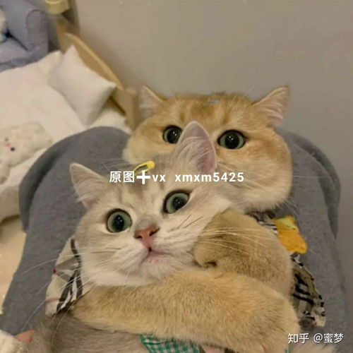  抖音热门情侣头像不听话的话会被惩罚的哦