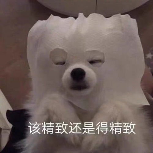  可爱且沙雕表情包