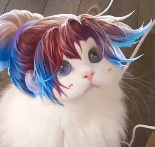  王者荣耀孙悟空猫咪头像
