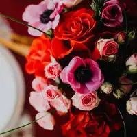 清新花束头像,浪漫的情人节花束图片 清新花束头像,浪漫的情人节花束图片