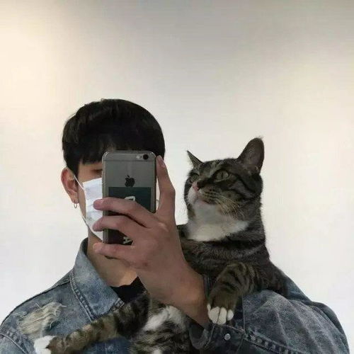 猫和男孩的头像