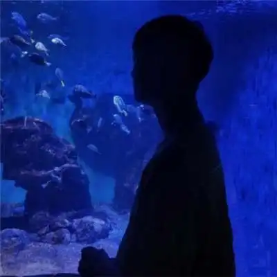 狐妖情侣头像一左一右抖