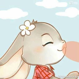 努力攒钱的小芝士的微博微博